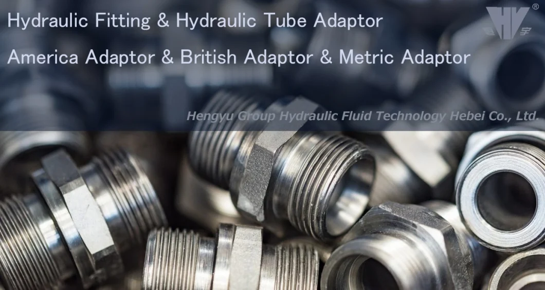 High Pressure High-Quality America Adaptor Hydraulic Adapter Orfs Male O-Ring Bulkhead Hydraulic Adapter-6f