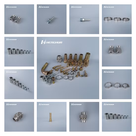 Stainless Steel Metric Female Multiple Seals Buckle Two Piece Hydraulic Hose Fittings